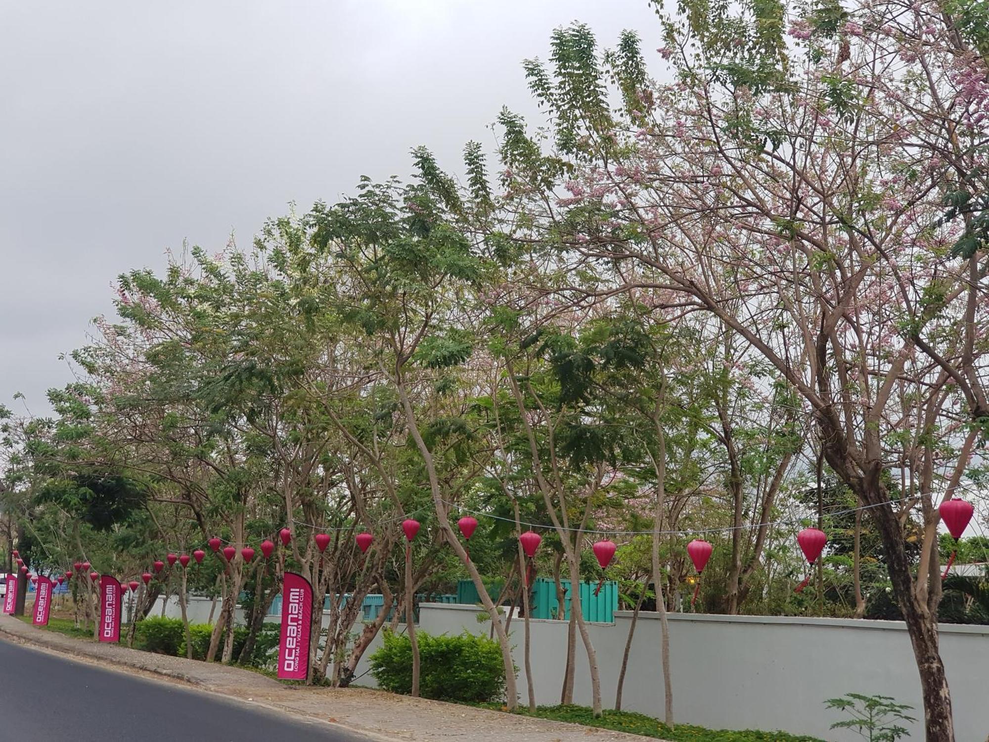 Oceanami Resort Sea View Long Hai Dış mekan fotoğraf