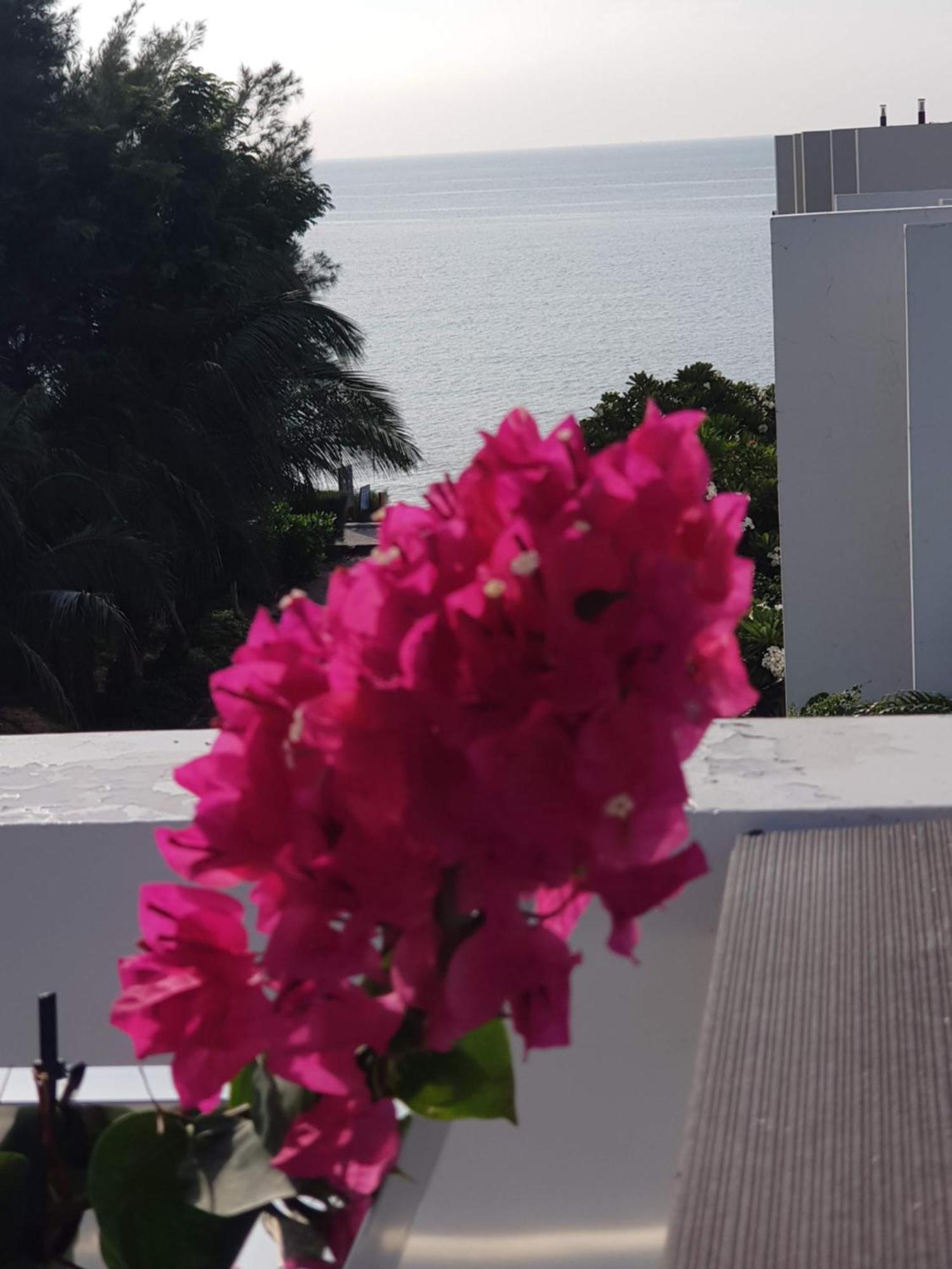 Oceanami Resort Sea View Long Hai Dış mekan fotoğraf