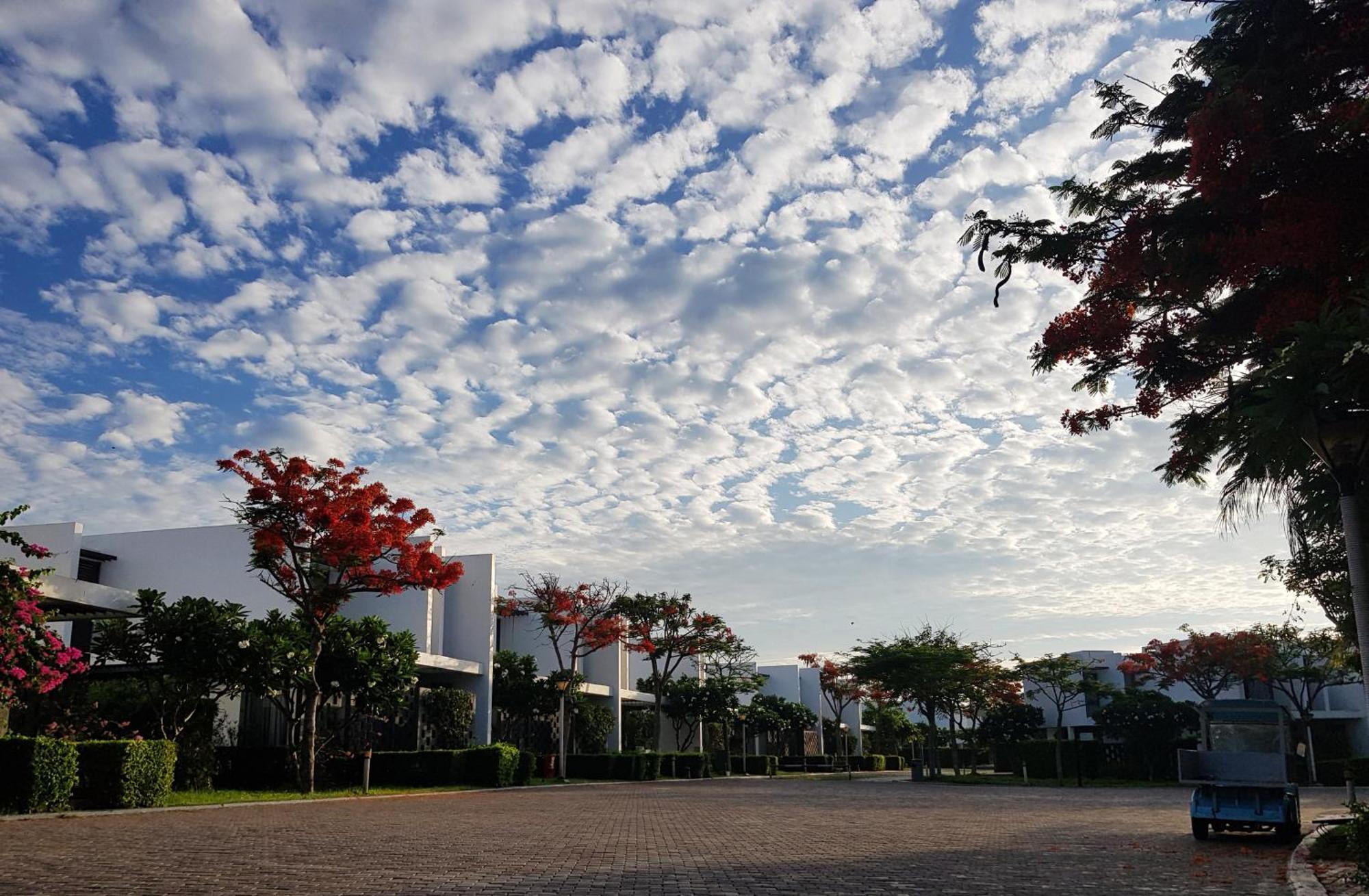 Oceanami Resort Sea View Long Hai Dış mekan fotoğraf